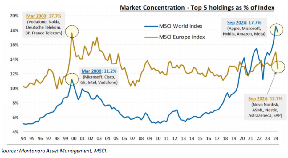 Market Concentration - Top 5 holdings as % of index (Montanaro Asset Management, 1994-2024).png